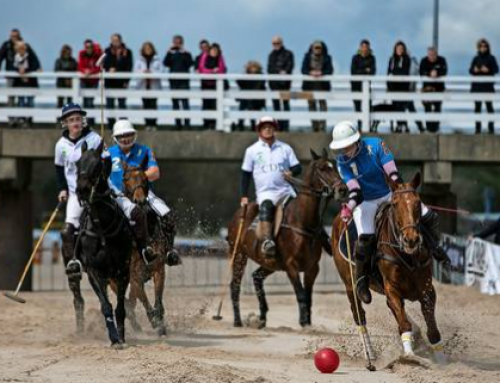 Beach Polo Kritik LN