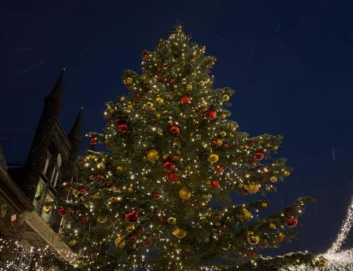 Die Dahmer Wähler Gemeinschaft wünscht Ihnen ein schönes Weihnachtsfest